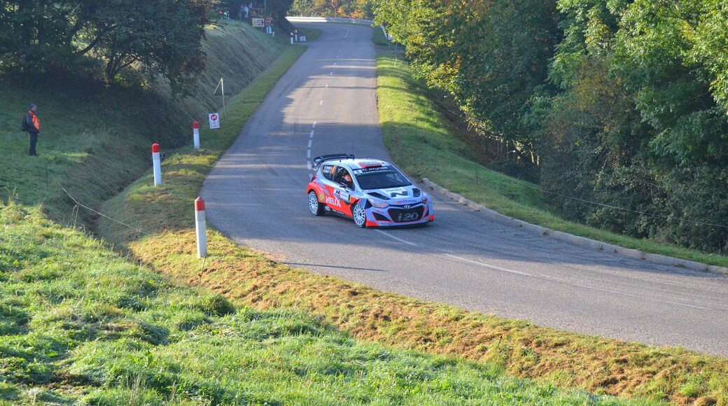 Rallye WRC France-Alsace 2014, ES9 Soultzeren - Le Grand Hohnack 1 à Labaroche. Hyundai i20 WRC - Dani Sordo - Marc Marti