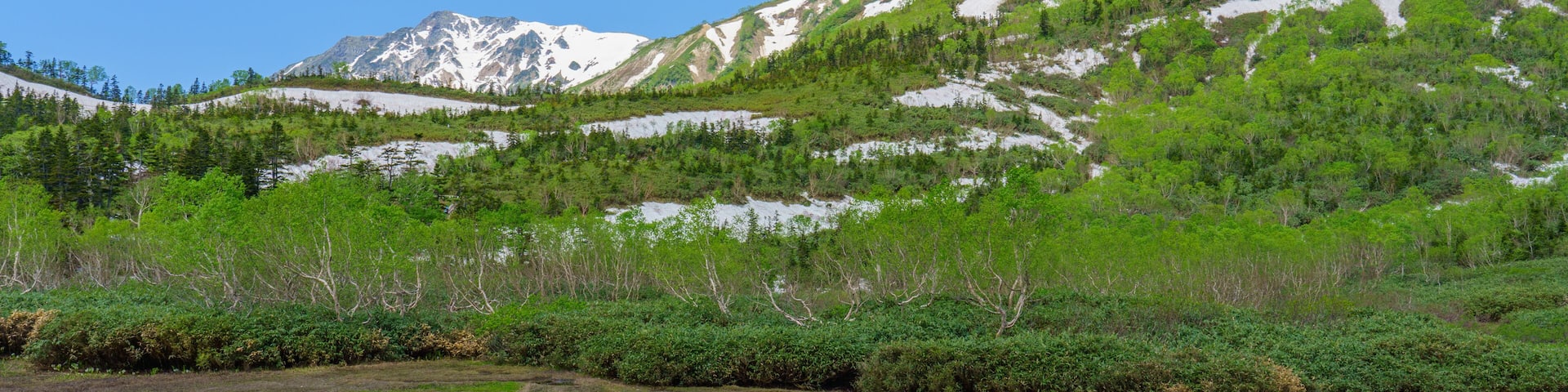 A mountain landscape with a lake and dense greenery.