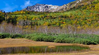Tsugaike Nature Park, Japan,Nagano Prefecture,Kitaazumi District, Nagano,Otari, Nagano