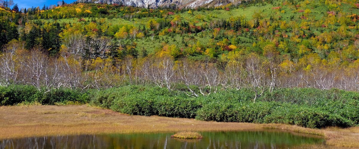 A mountain landscape with autumn foliage, a lake, and a clear blue sky.