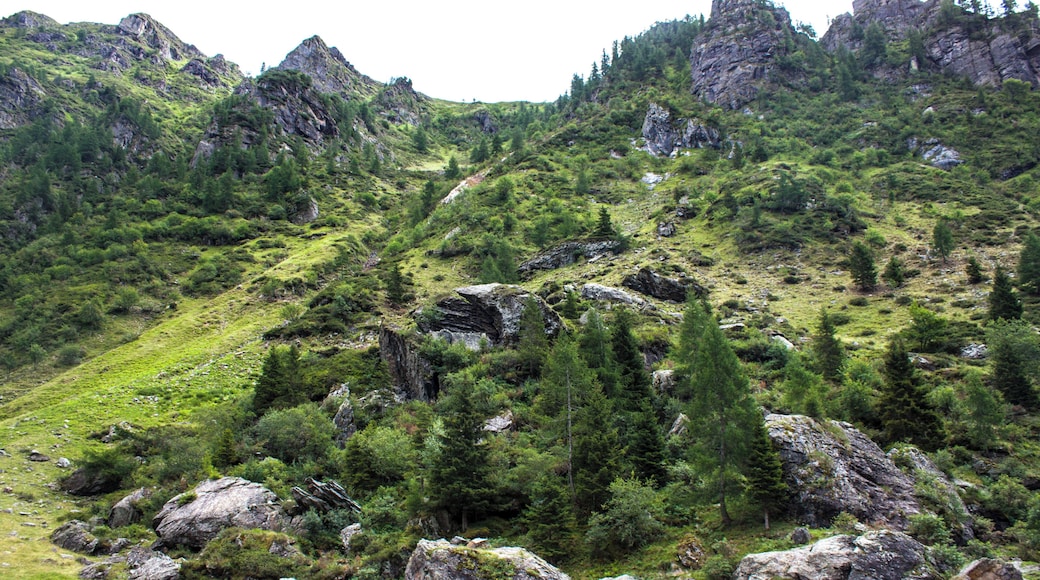 Veduta dal Lago Cavasabbia verso il sentiero per il Lago Fregabolgia, Carona.