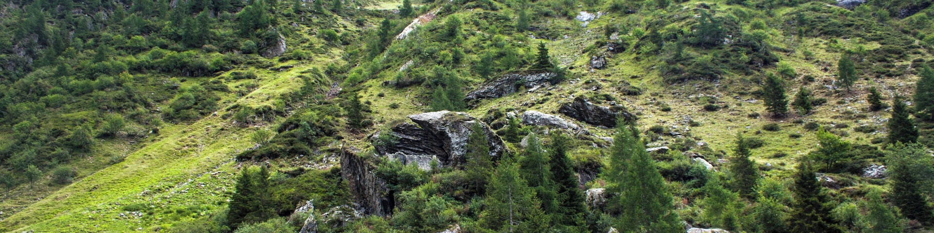 Veduta dal Lago Cavasabbia verso il sentiero per il Lago Fregabolgia, Carona.