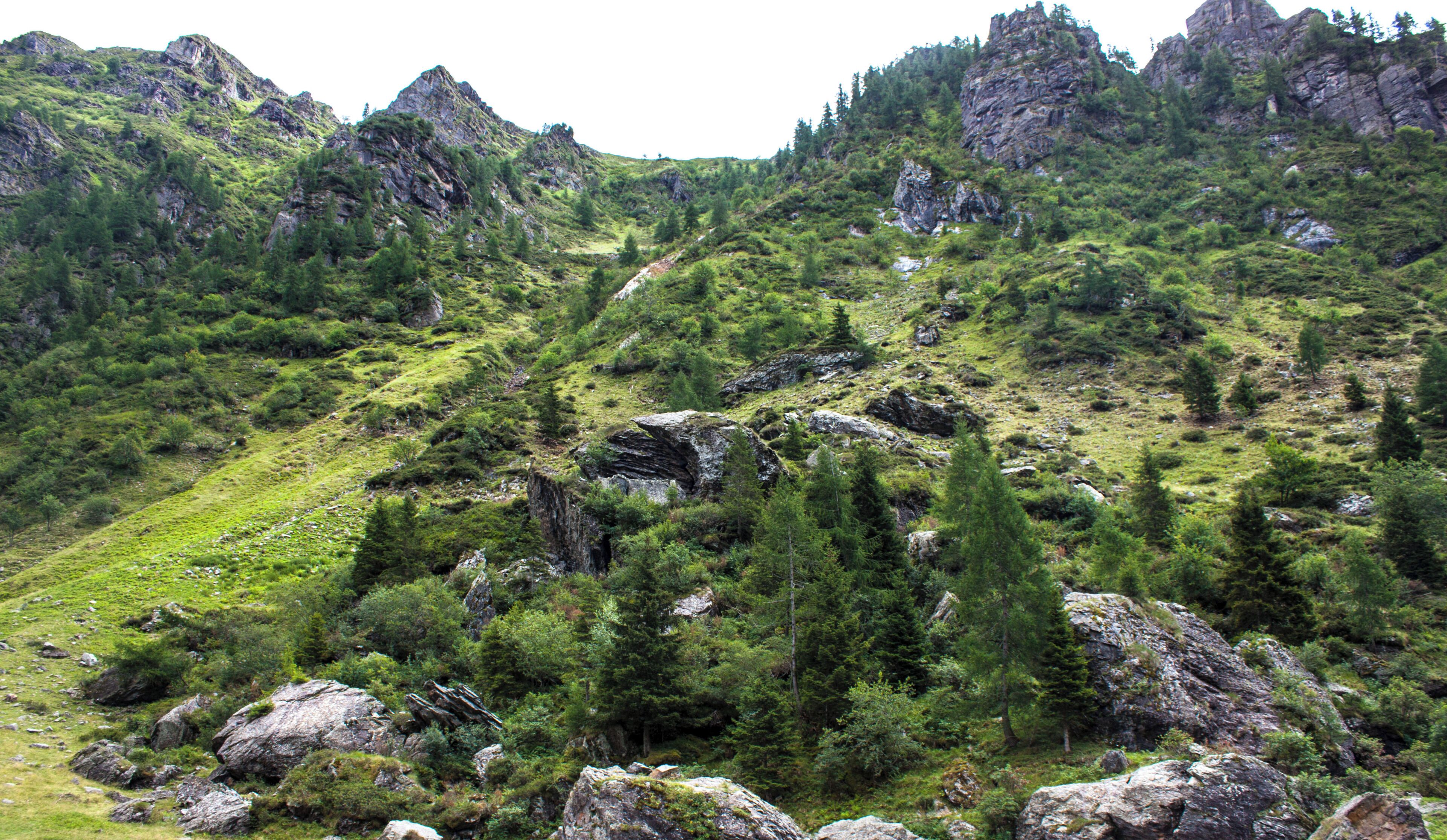 A mountainous landscape with rocky terrain and dense green forests.
