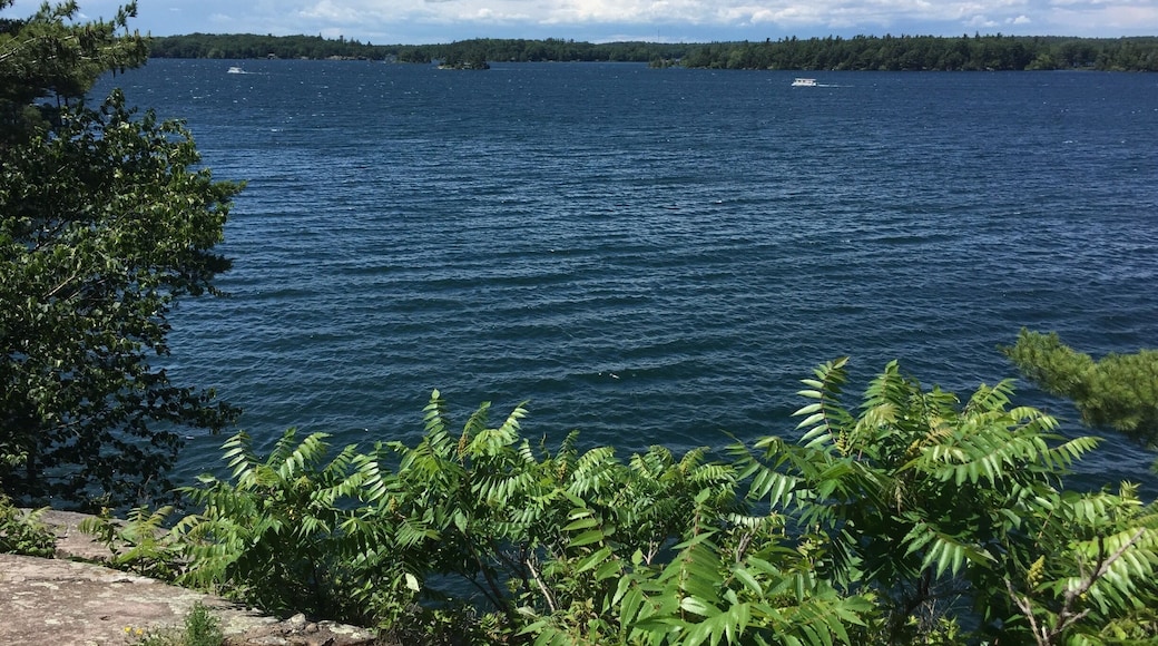 The St Lawrence River with Canada in the distance.