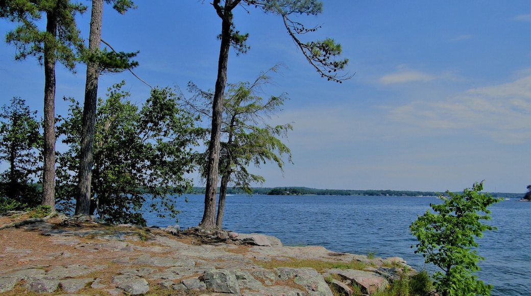 Wellesley Island State Park in Upstate NY, very near the Canadian border. Great place for camping! The rocky shores, the blue St Lawrence river and the trees make for some lovely scenery