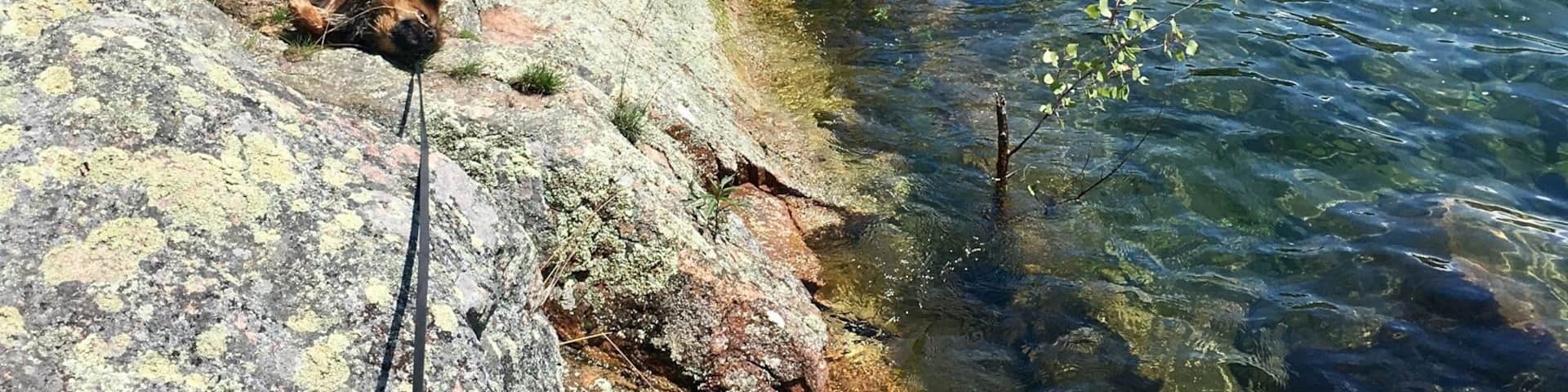 St lawrence river views