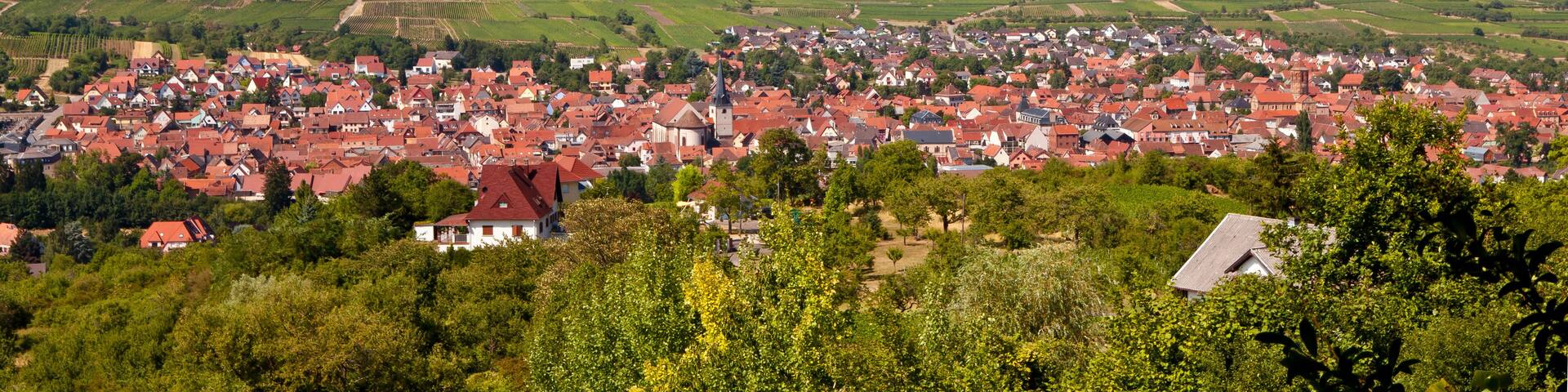 ROSHEIM vue panoramique 229