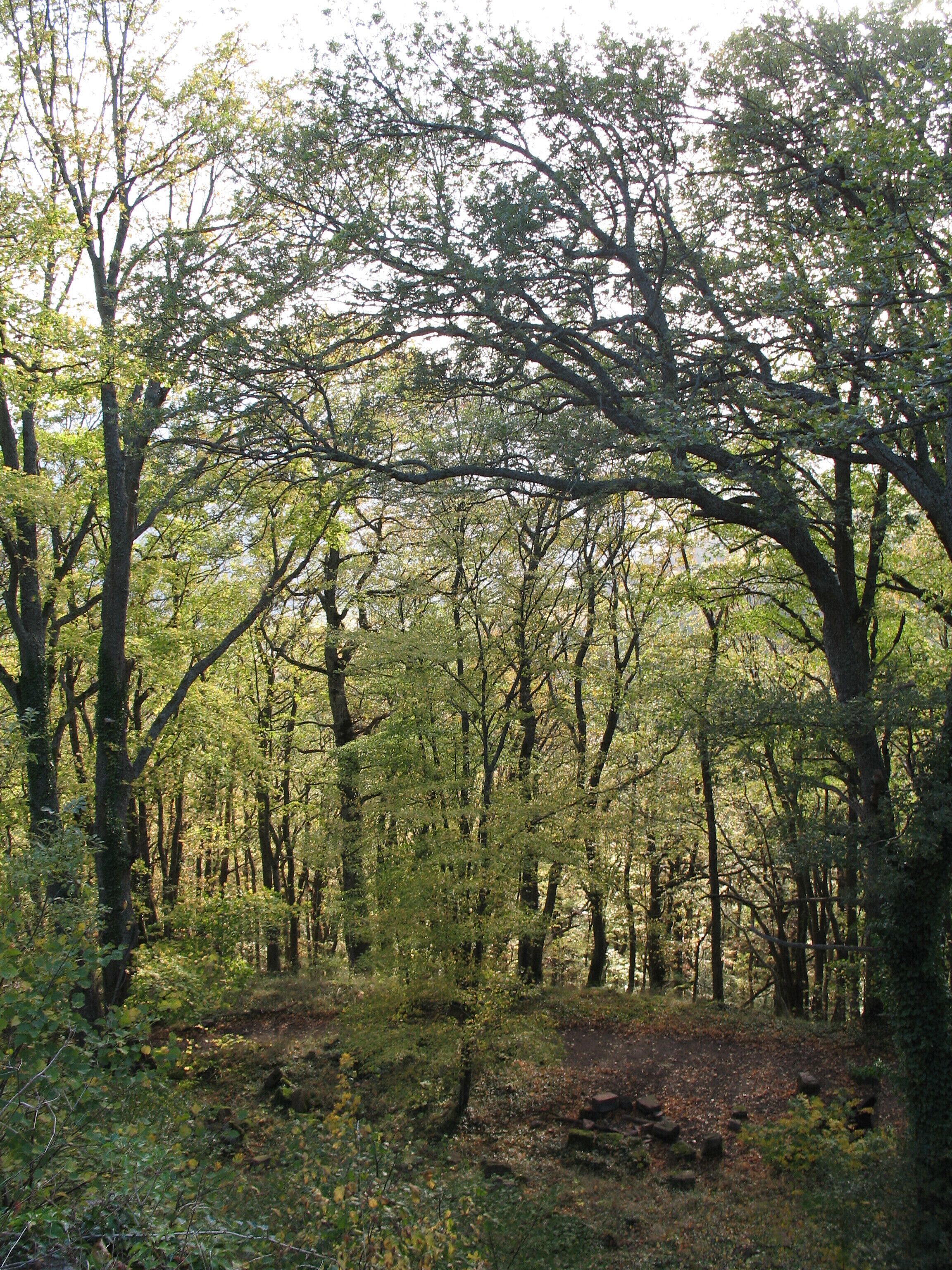 See where this picture was taken. [?]