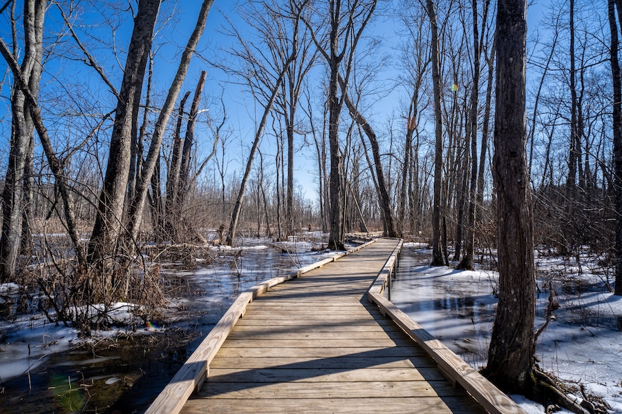 Great Swamp Park by East Branch Croton River at Patterson New York