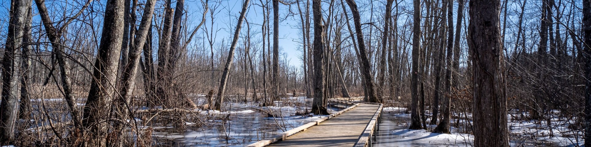 Great Swamp Park by East Branch Croton River at Patterson New York