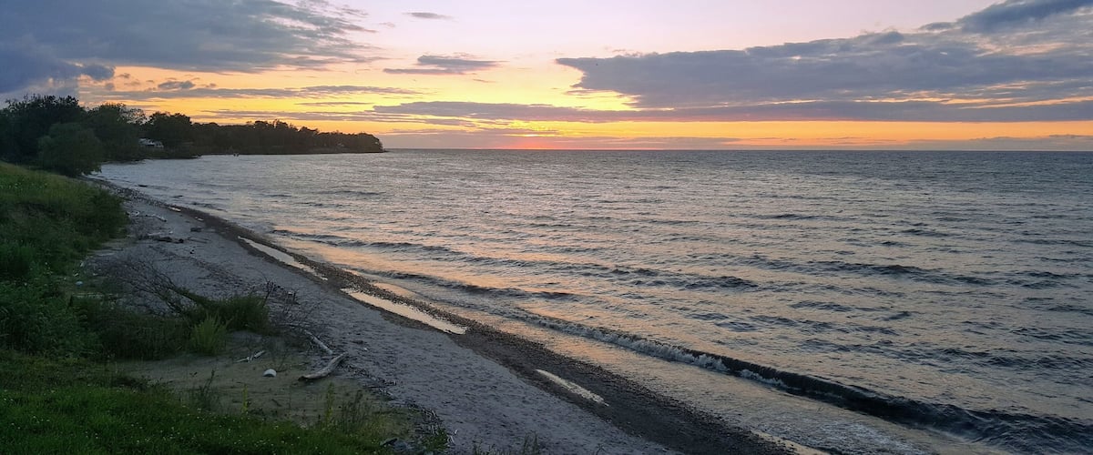 A beach with a sunset over the ocean, a sandy shore, and a forested area in the background.