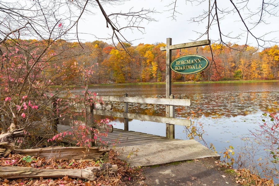 A wooden bridge over a lake with a sign reading "BERGMANN BOARDWALK".