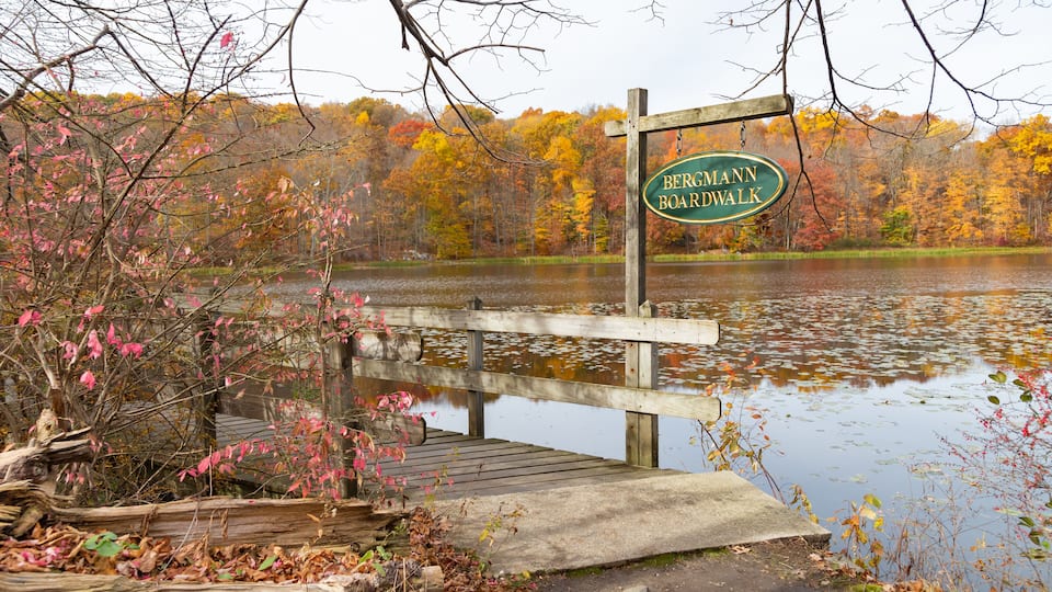 A wooden bridge over a lake with a sign reading "BERGMANN BOARDWALK".