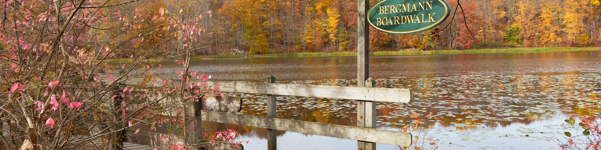 Un puente de madera sobre un lago, con un letrero que dice "BERGMANN BOARDWALK".