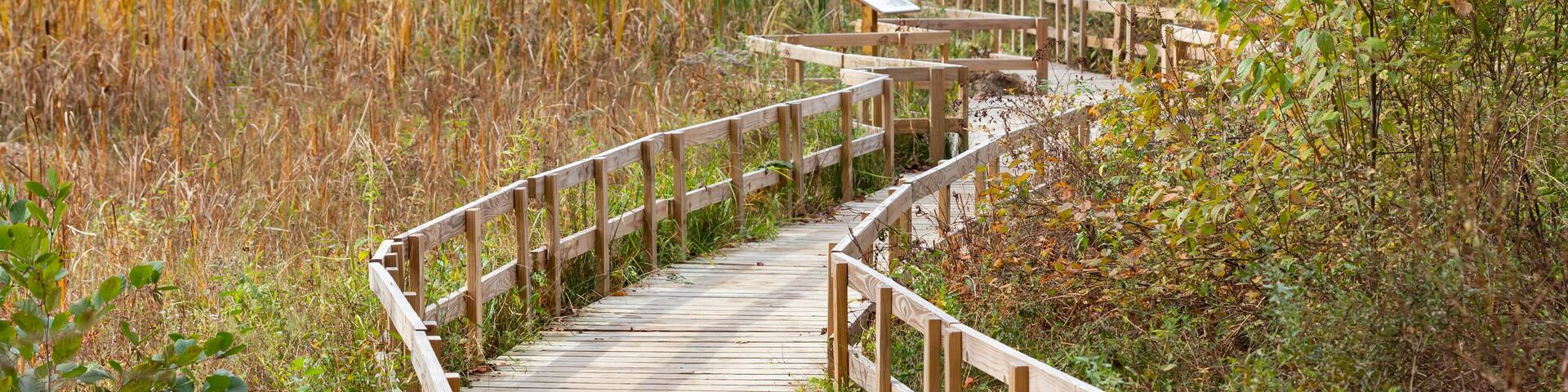 Boardwalk over marshland on the trail at Teatown Lake Reservation in Ossining, New York.