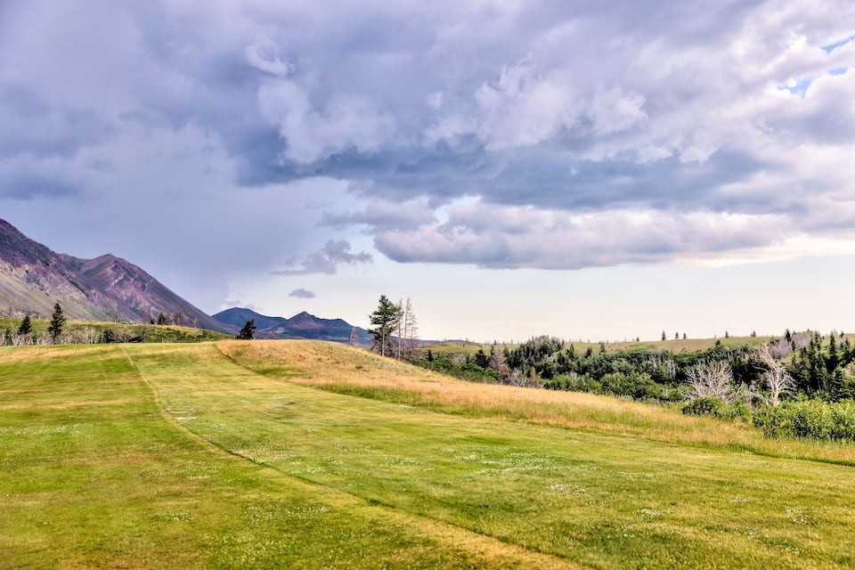 A grassy field with mountains in the background and a cloudy sky.