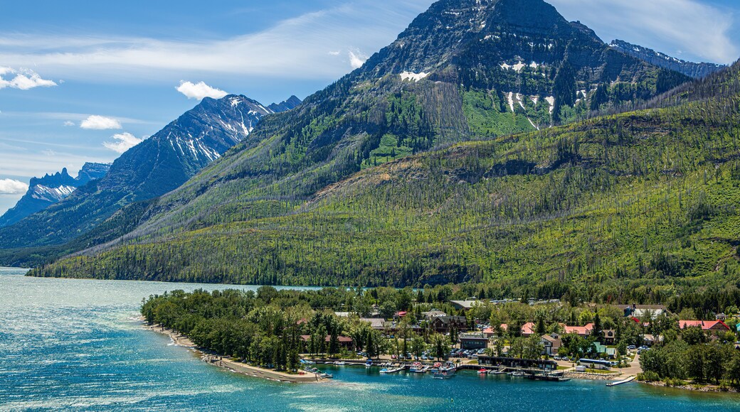 Waterton Marina