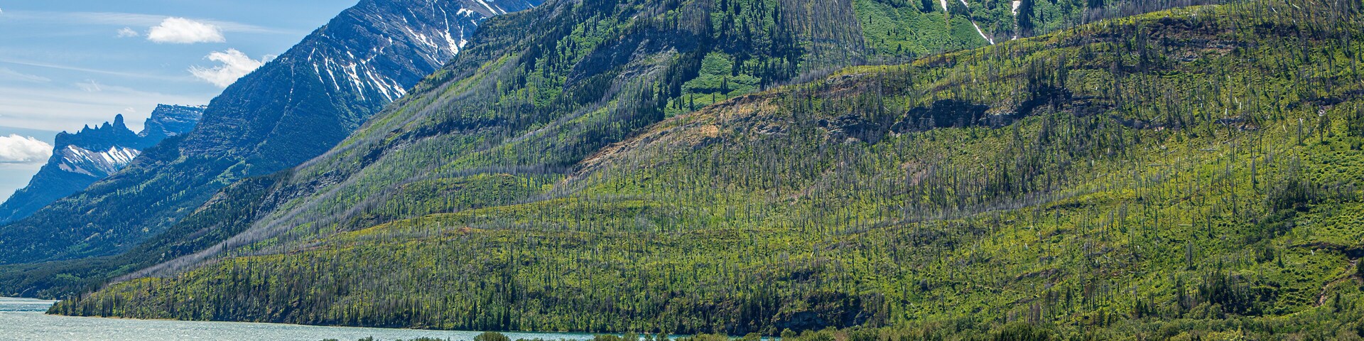 A mountain top called the Bears Hump at Waterton Lakes National Park, Canada. It is a beautiful, colorful mountain with a rainbow, blue sky, and clouds.