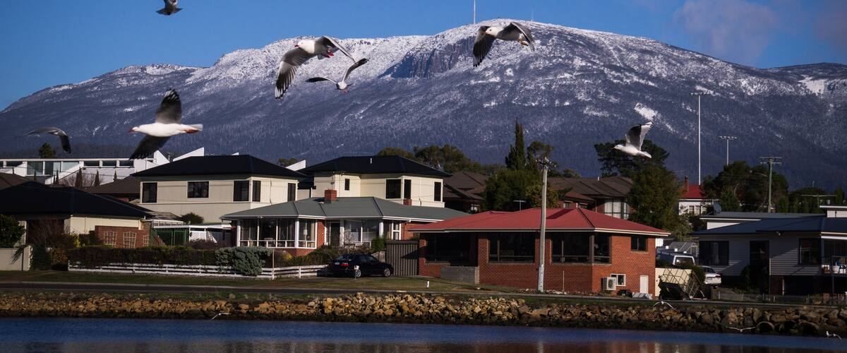 Seagulls with Mount Wellington in background from Lindisfarne near Hobart, Tasmania