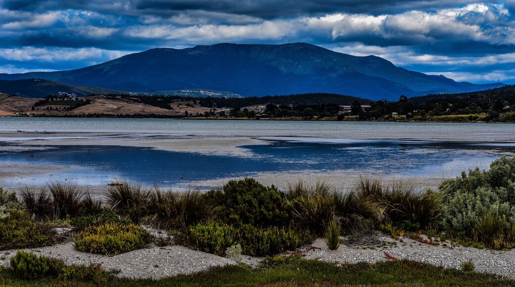 ๋ก๋๋ฐ์ผ