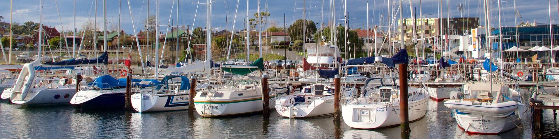 A marina with multiple sailboats docked.