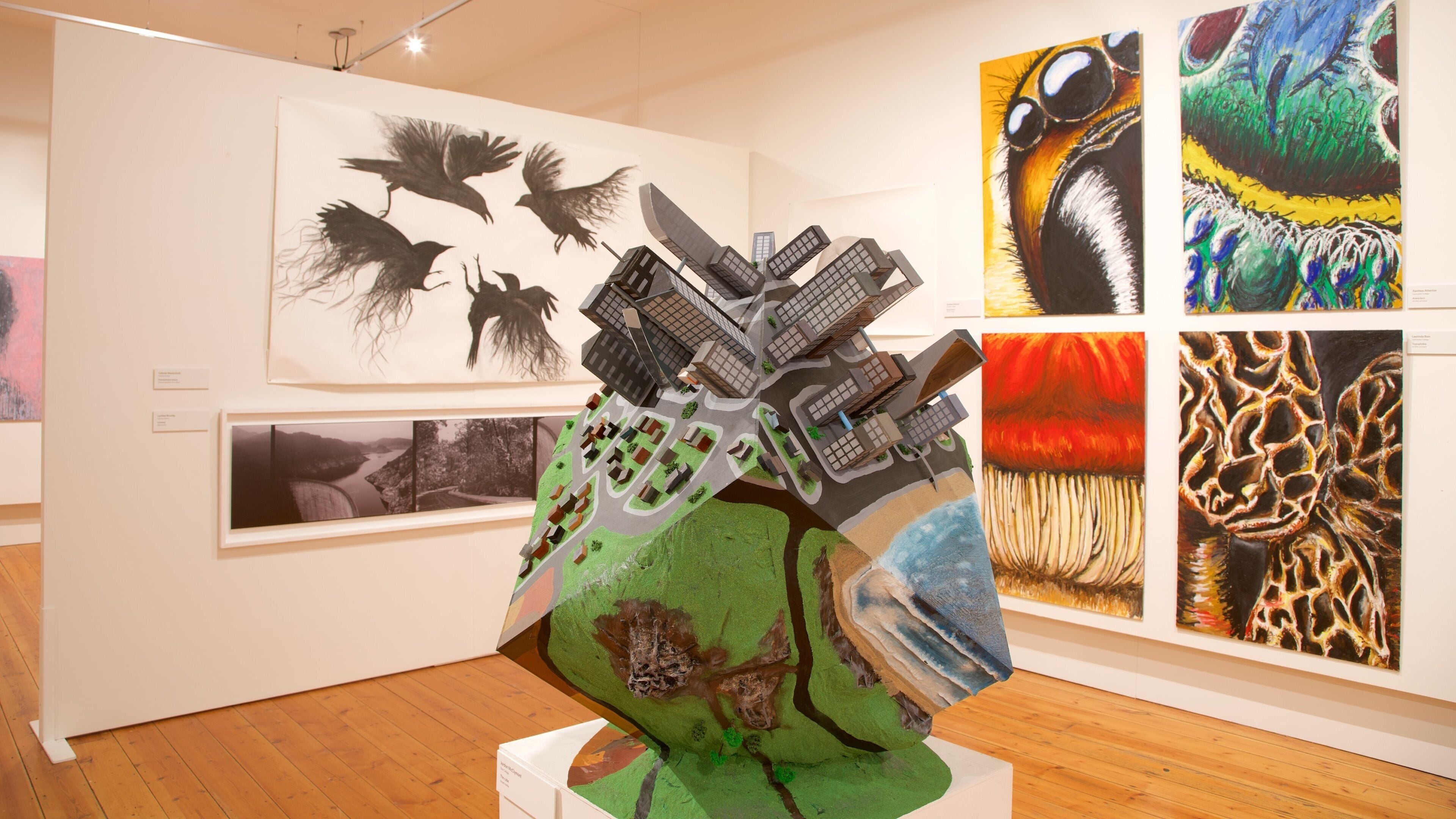 Queen Victoria Art Gallery featuring art and interior views