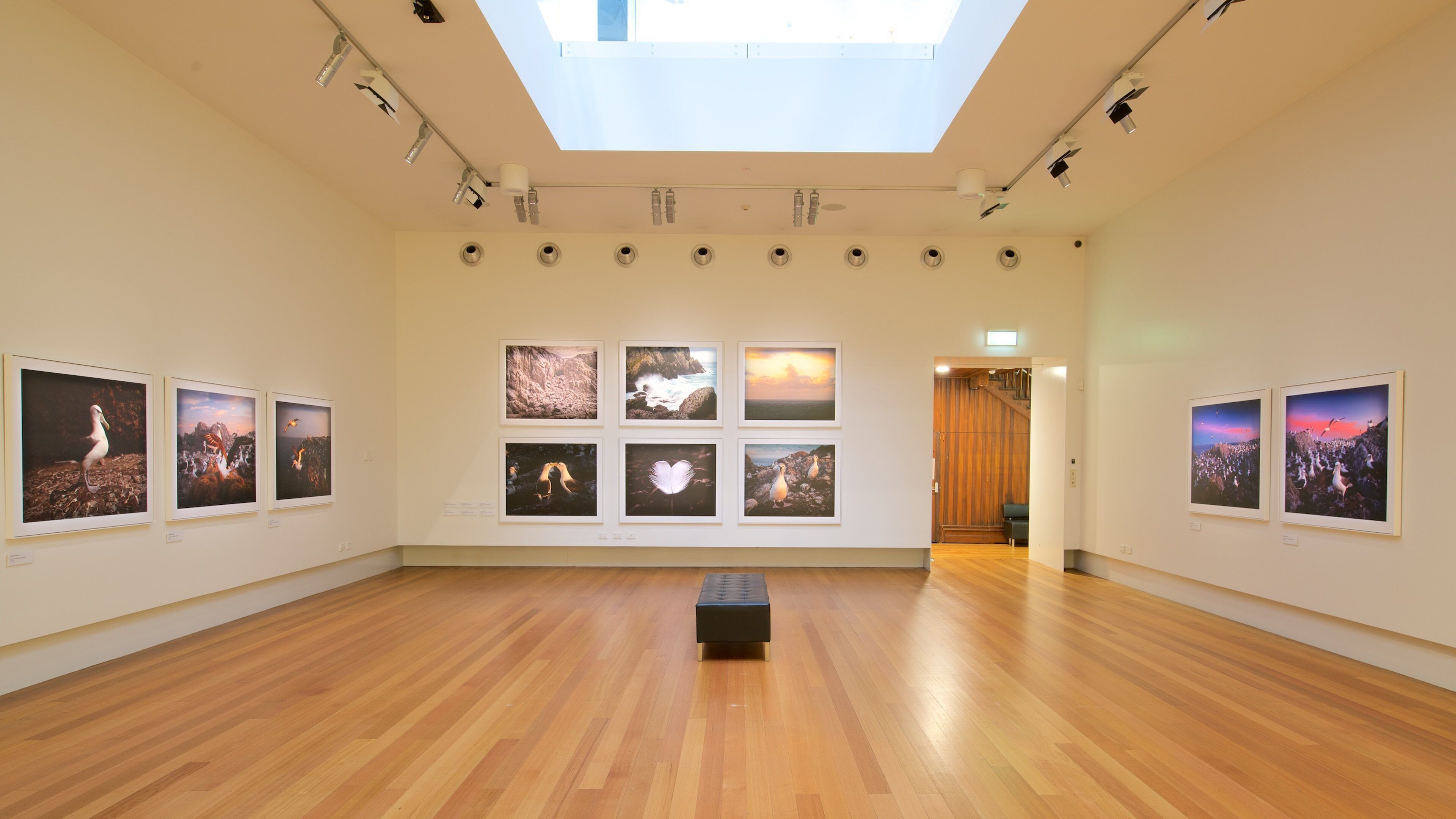 Queen Victoria Museum & Art Gallery which includes interior views and art