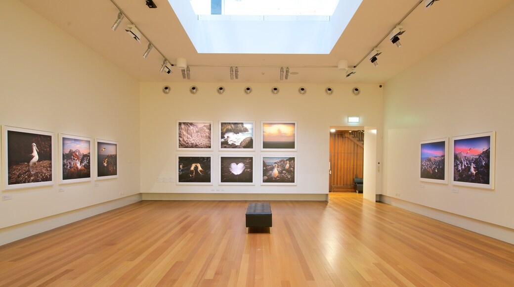 Queen Victoria Museum & Art Gallery which includes interior views and art