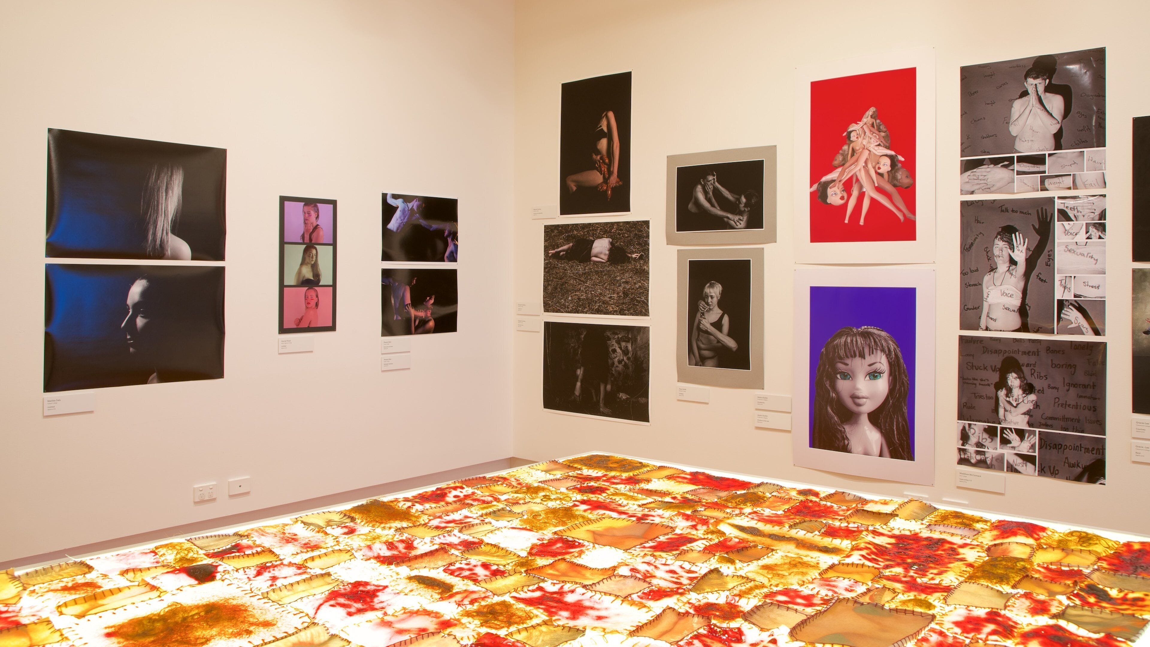 Queen Victoria Art Gallery mostrando vistas internas e arte