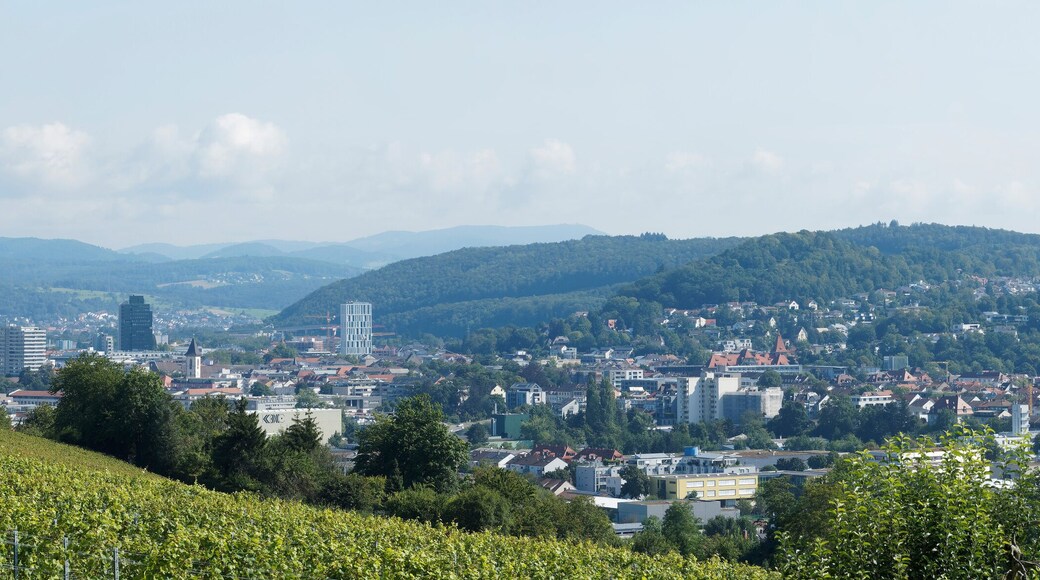 Lörrach dans le Bade-Wurtemberg en Allemagne du sud. Panorama du Nord-Est au sud-Est de la ville. La Forêt-Noire, Vallée de la Wiese (Wiesental), Hauingen, Brombach, Hünerberg et Stetten
