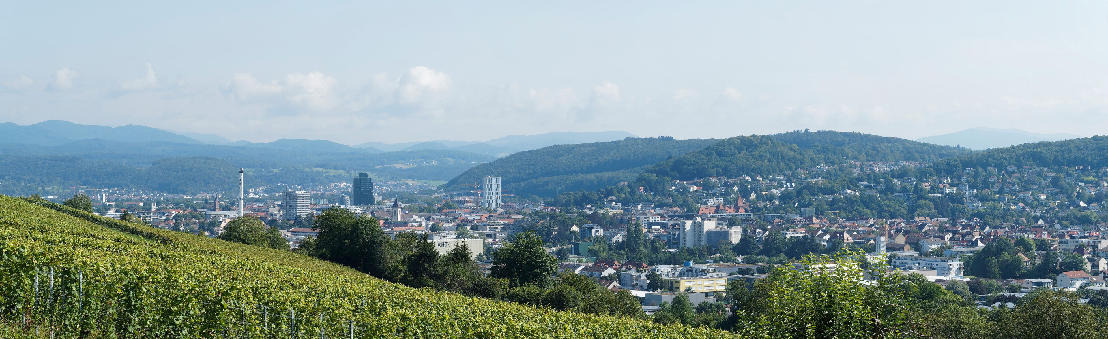 A cityscape with a vineyard in the foreground and mountains in the background.