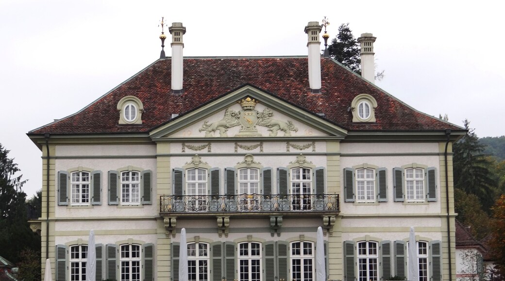 A mension house Neuer Wenkenhof in Riehen