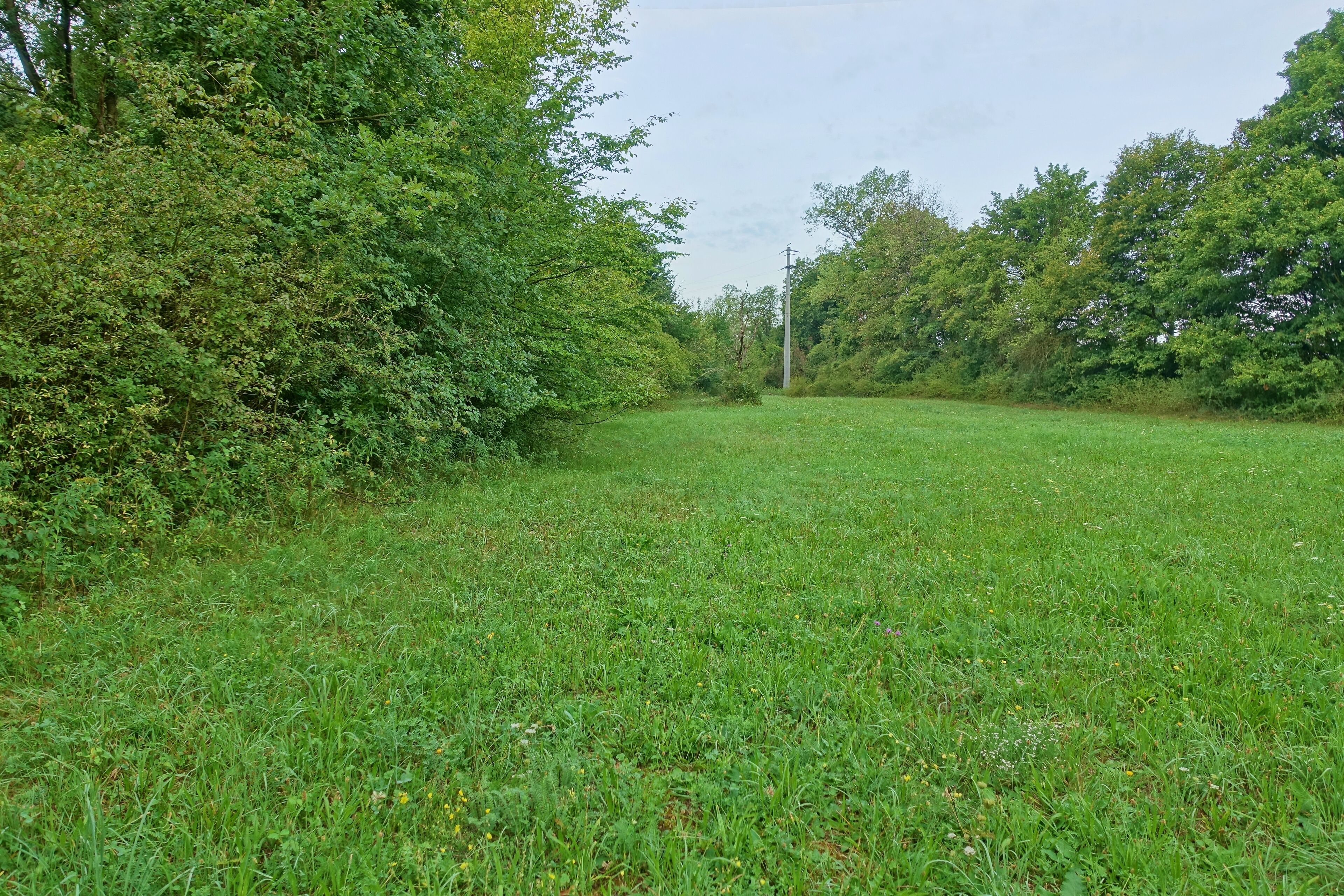 Ehemalige Kiesgrube und ihre Umgebung mit wertvollen Lebensräumen unterschiedlicher Ausprägung wie dem Weißseggen-Eichen-Lindenwald, Kiesrohböden mit Pionierfluren und lückiger Trockenvegetation sowie verschiedene Rasengesellschaften.
