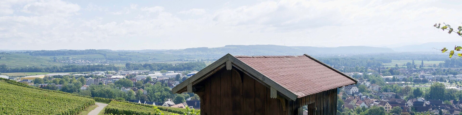 A wooden building with a red roof surrounded by vineyards and a distant town.