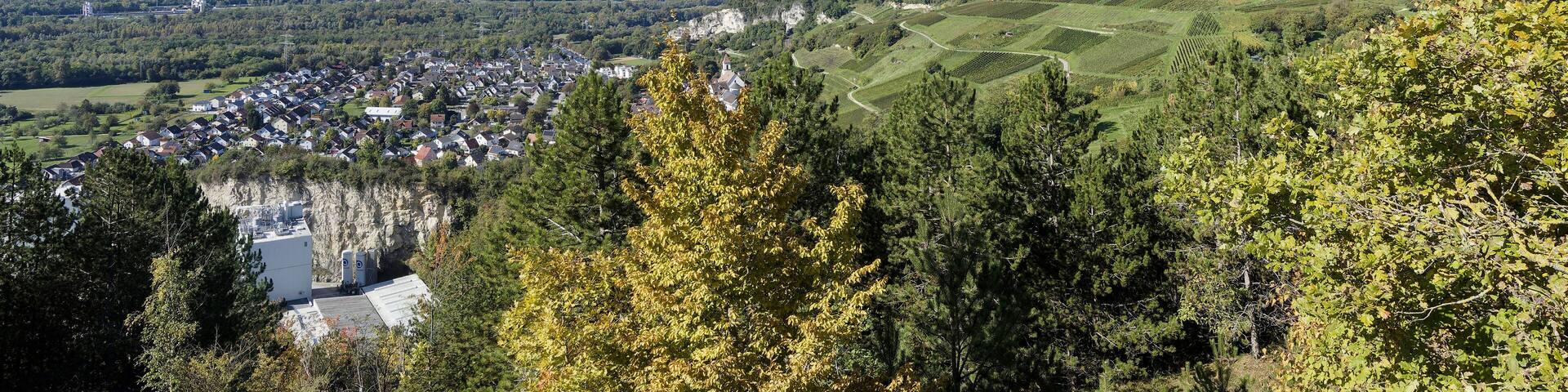 Istein und isteiner Klotz zwischen Rhein und Reben in der isteiner Bucht am Fuße des Kirchbergs vom Weinlehrpfad entlang des Schafbergs oberhalb von Egringen-Kirche aus gesehen