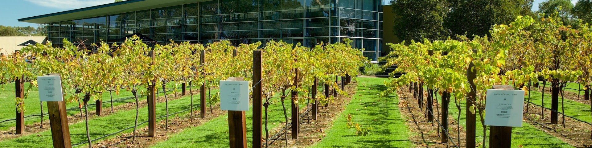 ์ ์ด์ฝฅ์ค ํฌ๋ฆญ ์์ธ์์กฐ์ฅ ์ ๋ณด์ฌ์ฃผ๋ ๋์ฅ