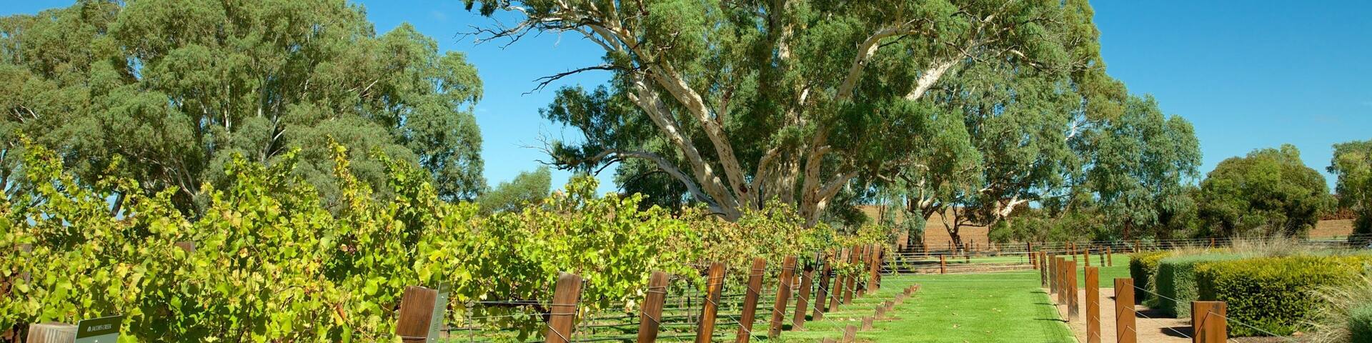 Jacob\'s Creek Vineyards