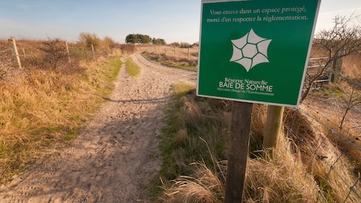 Saint-Quentin-en-Tourmont