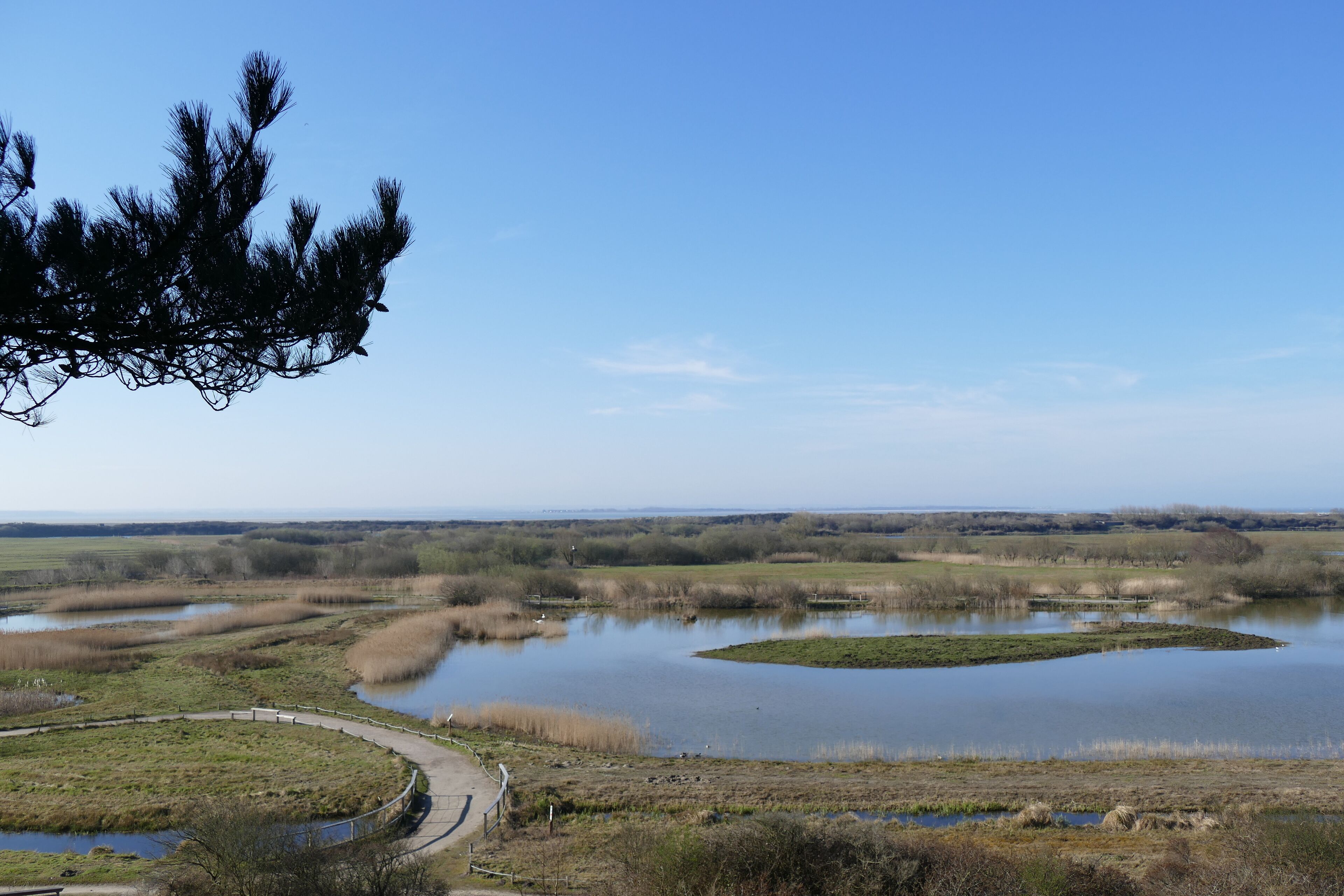 Saint-Quentin-en-Tourmont