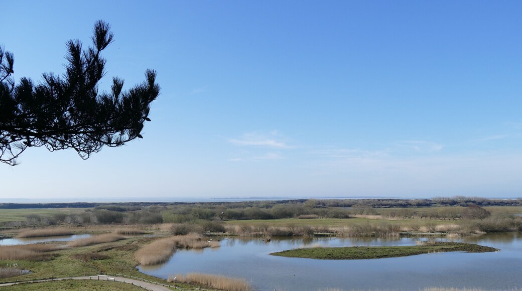 Saint-Quentin-en-Tourmont