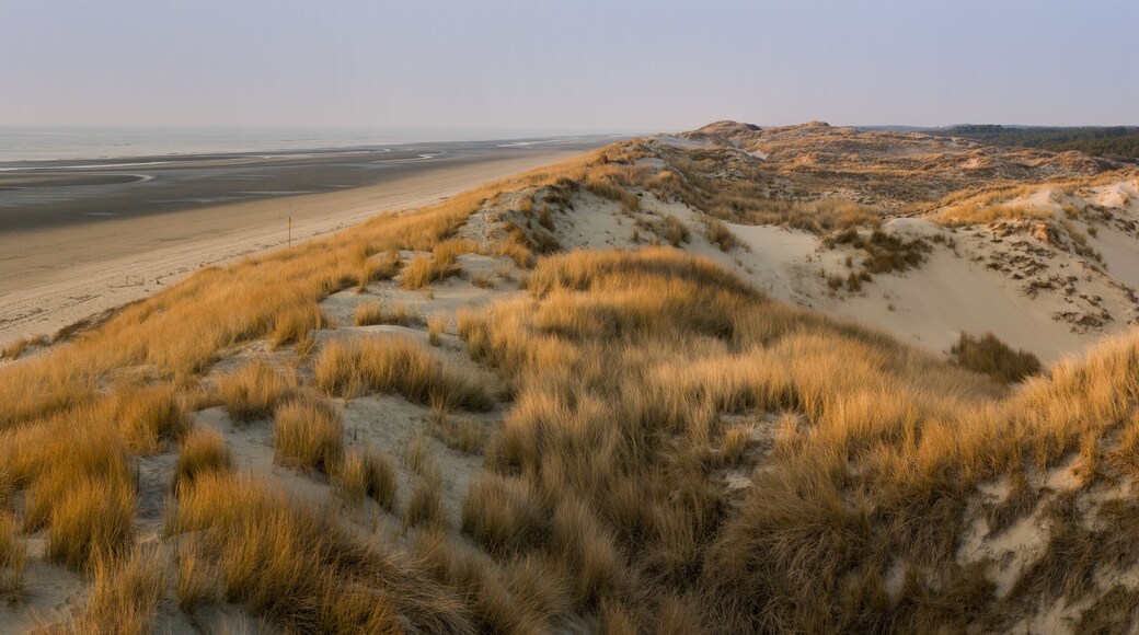 Saint-Quentin-en-Tourmont