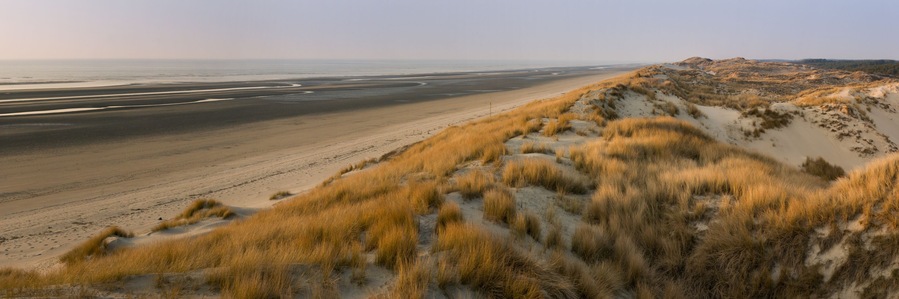 Les dunes du Marquenterre à Saint-Quentin-en-Tourmont