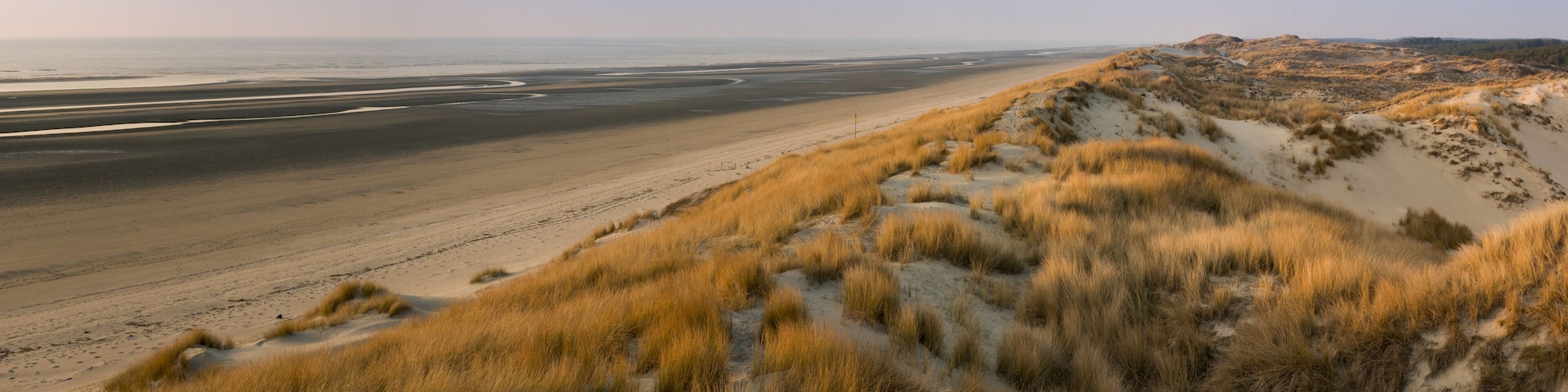 Les dunes du Marquenterre à Saint-Quentin-en-Tourmont