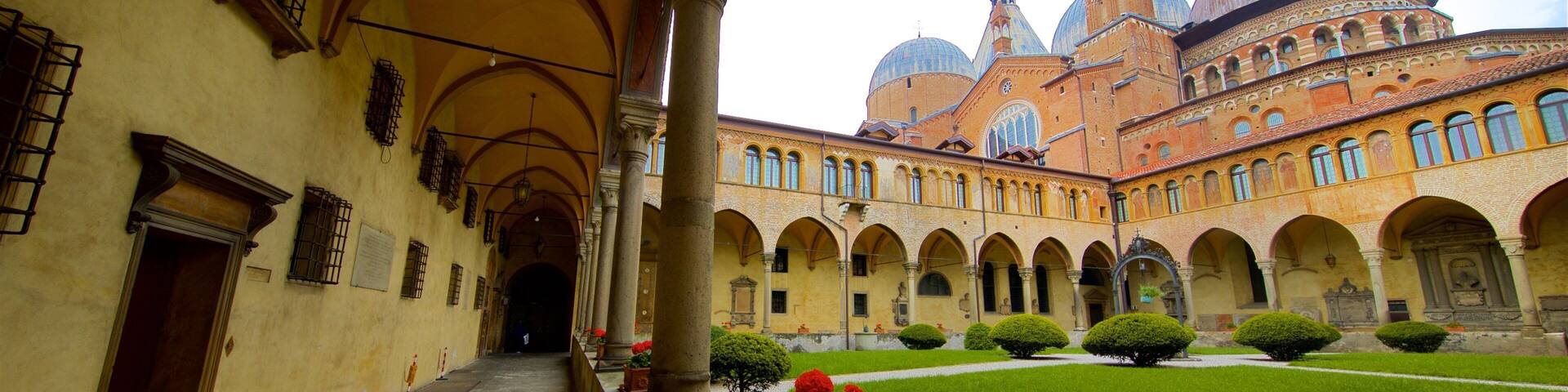 City Center Padova featuring heritage architecture and a garden