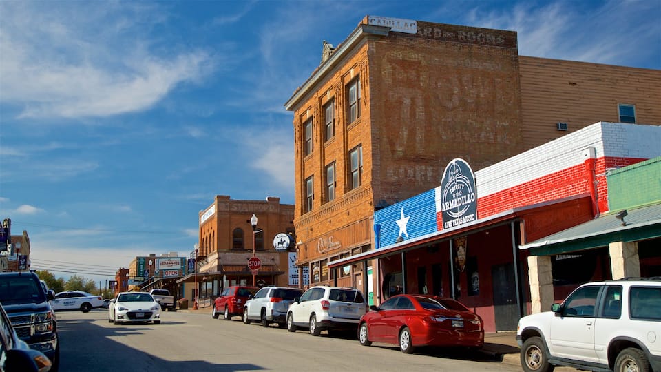 Fort Worth Stockyards featuring a small town or village