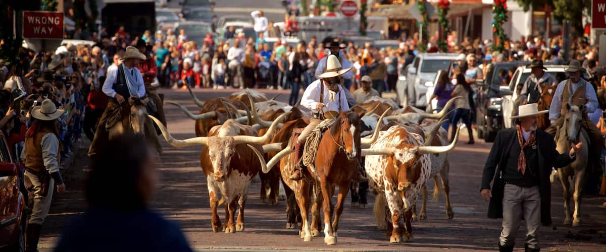 Fort Worth Stockyards showing land animals, horseriding and a festival