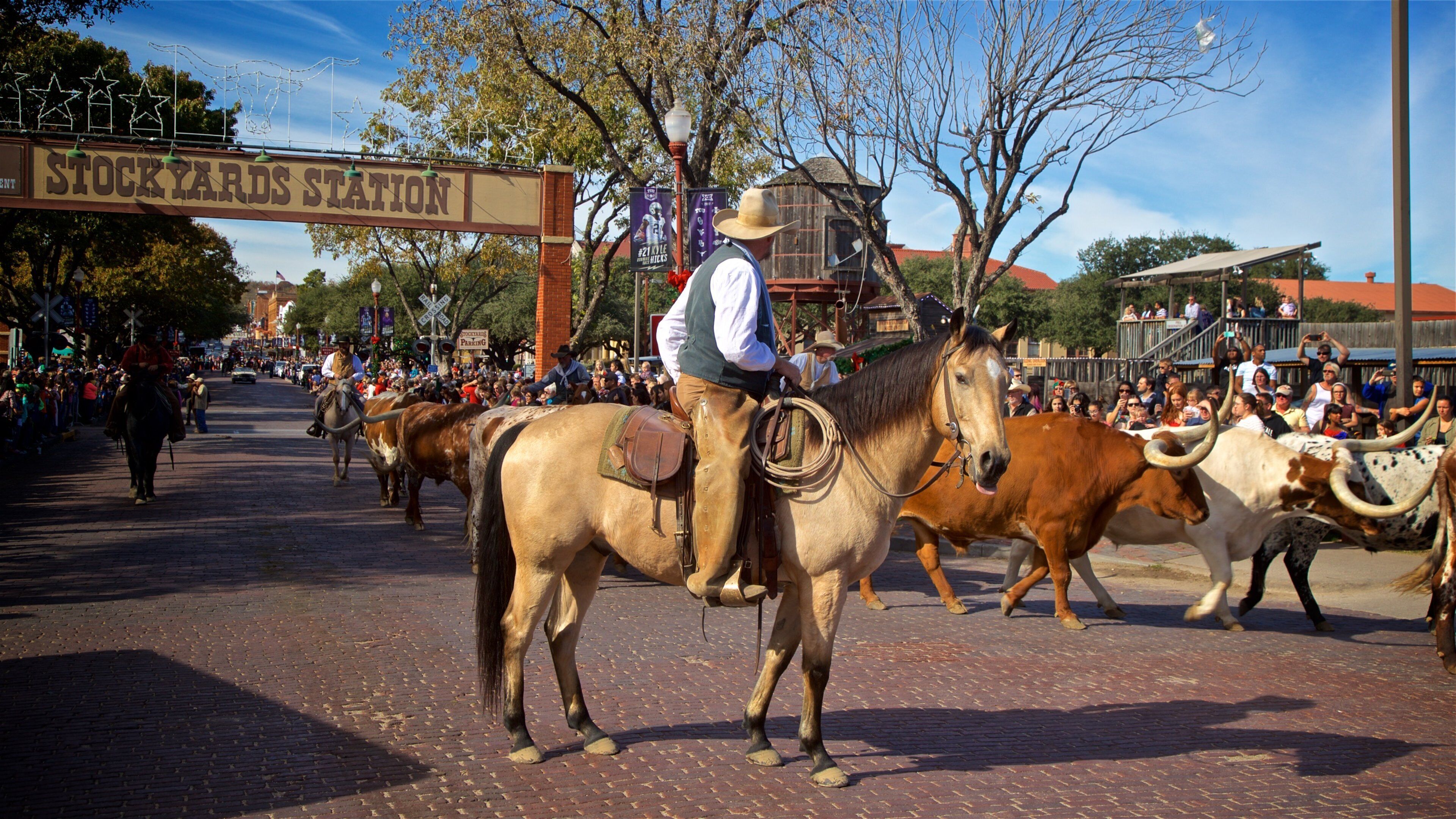 Fort Worth Stockyards featuring horseriding, a festival and land animals
