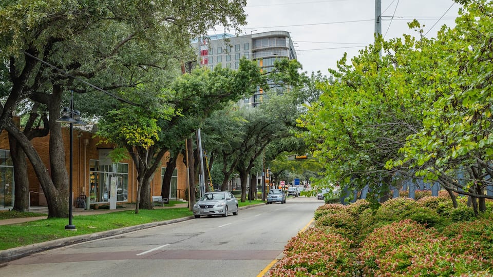 Dallas Design District