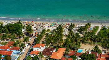 Maria Farinha beach, Olinda, near Recife, Pernambuco State, Brazil on November 15, 2012. Aerial view of the beach with colorful parasols and countless people on the beach.