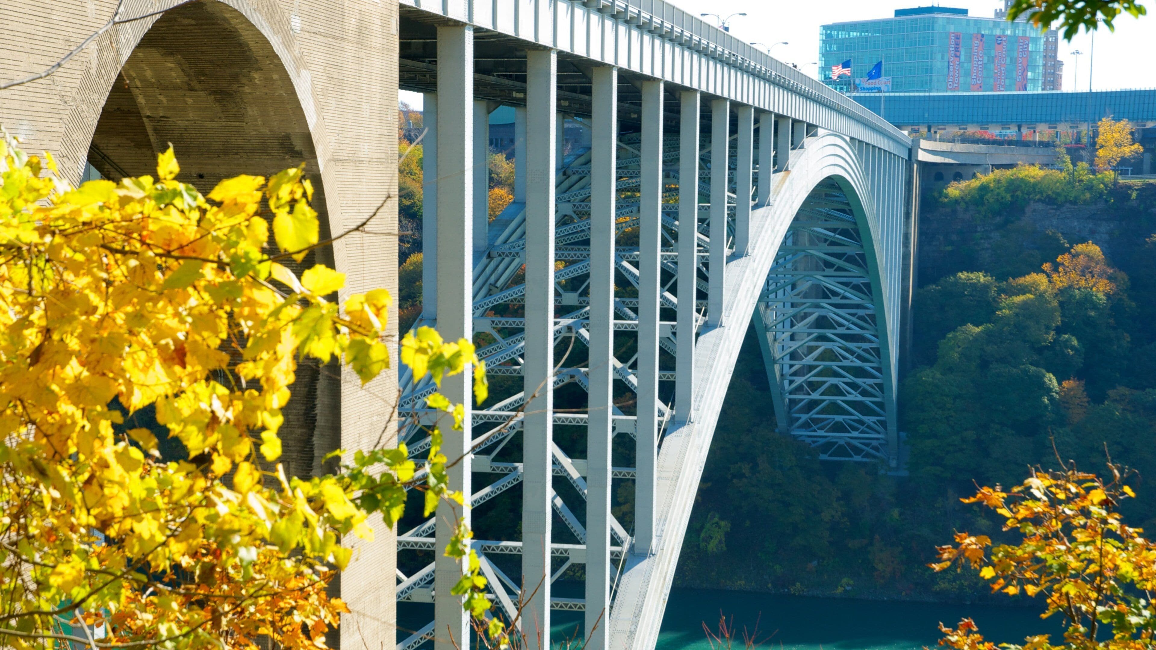 Rainbow Bridge mettant en vedette pont et ville